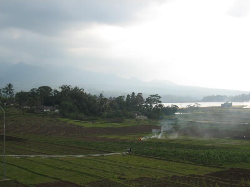 2007 07 13 BALI 037.jpg